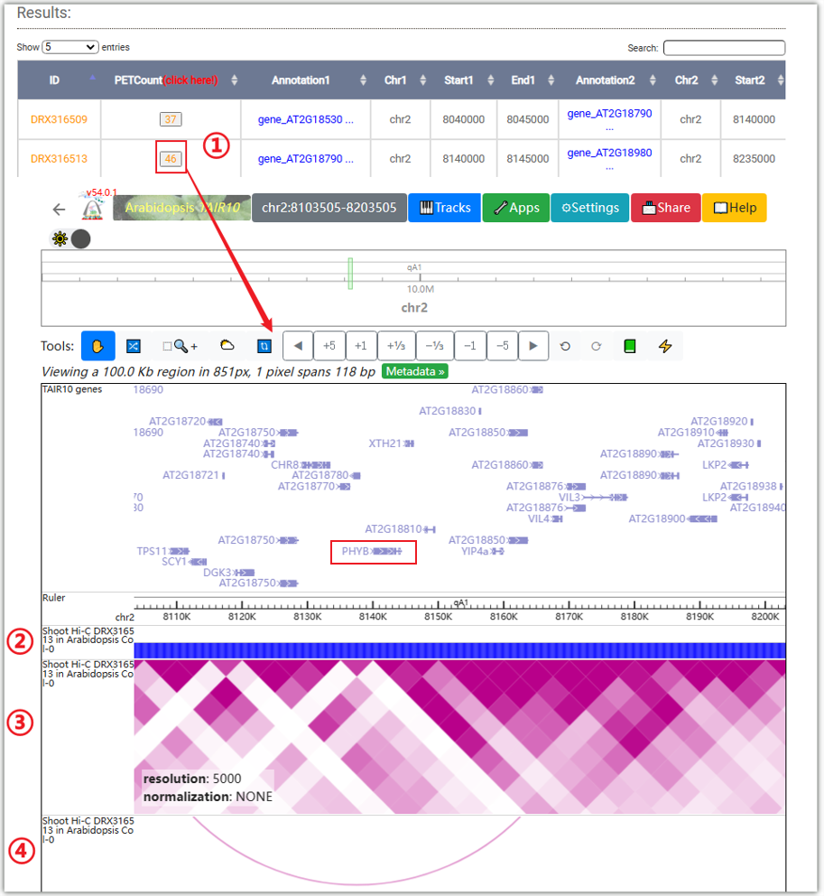 3Dgenome