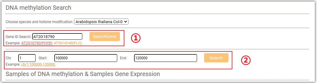 DNA-methylation