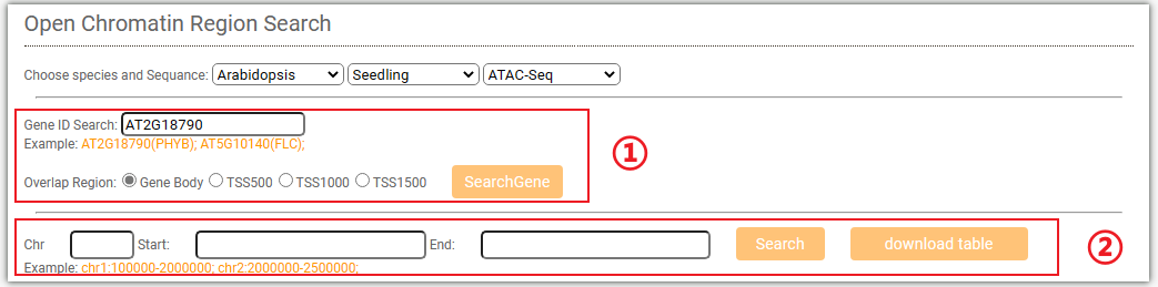 Chromatin-accessibility